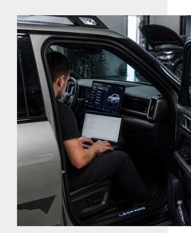 Русификация BYD Leopard 3 в Осинниках по цене от 20399 р. | ФастМобиль-Снн